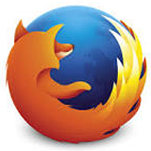 Firefox icon | ctp online application guide | costex