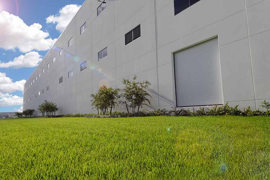 Building grass | eco friendly facility